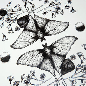 Luna Moth - Digital Art Print - Print is Dead
