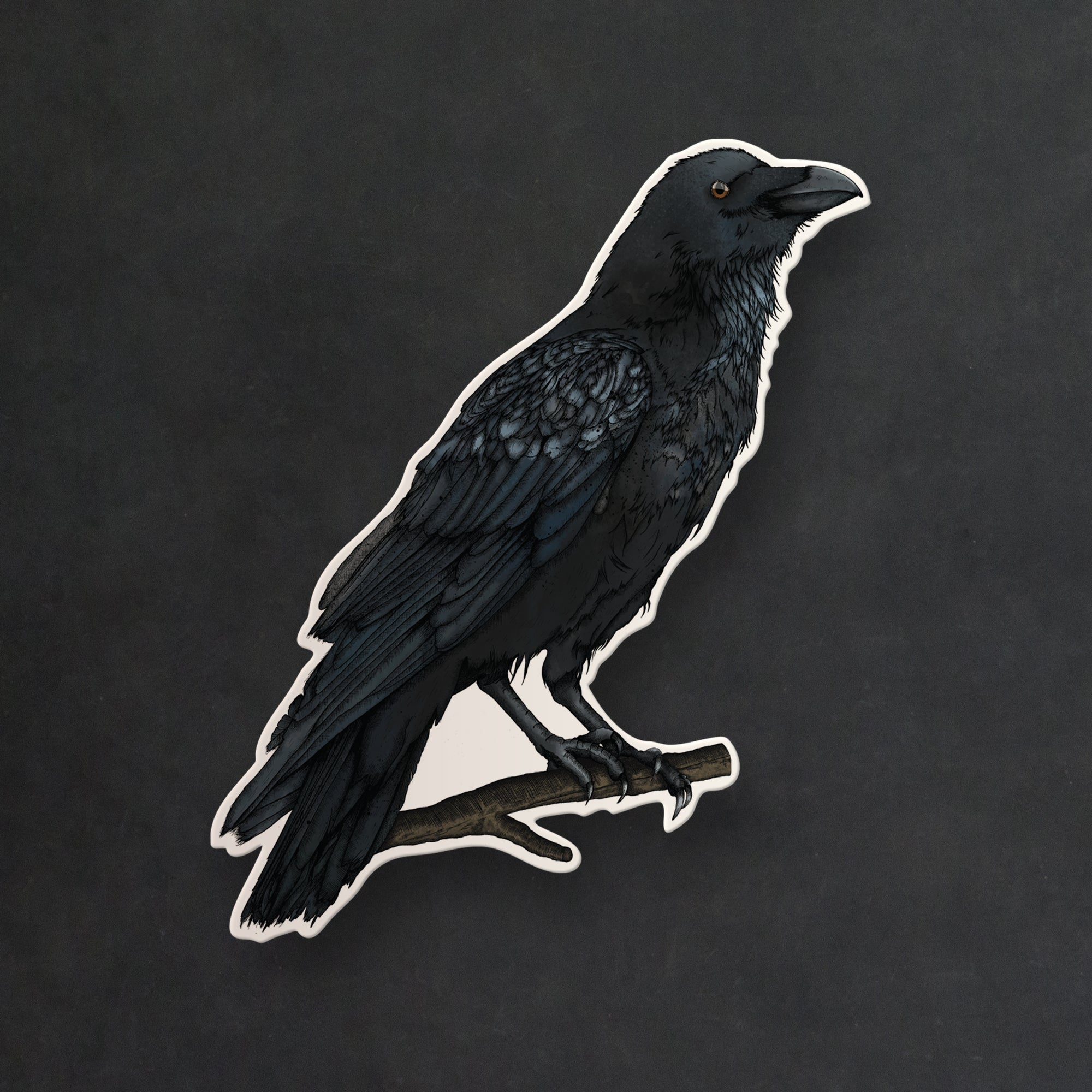 Black Raven - Vinyl Sticker