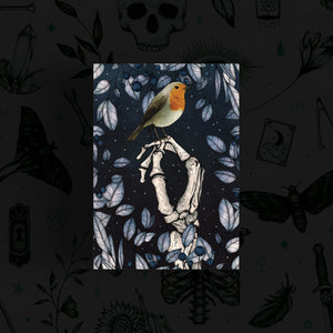 Skeleton and Robin - Christmas Card
