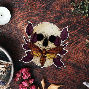 Death's Head Hawkmoth - Vinyl Sticker