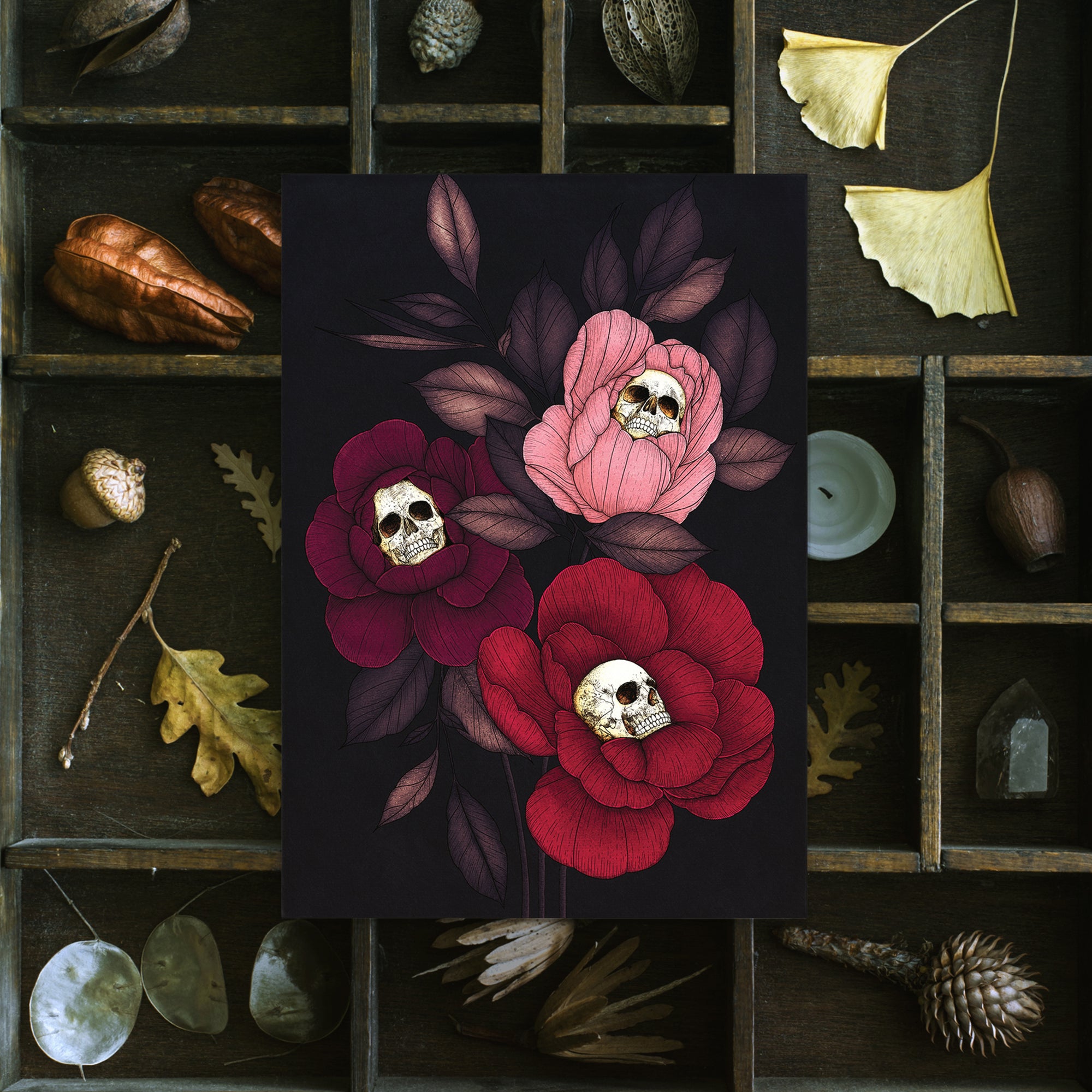 Skull Peonies - Postcard Mini Print