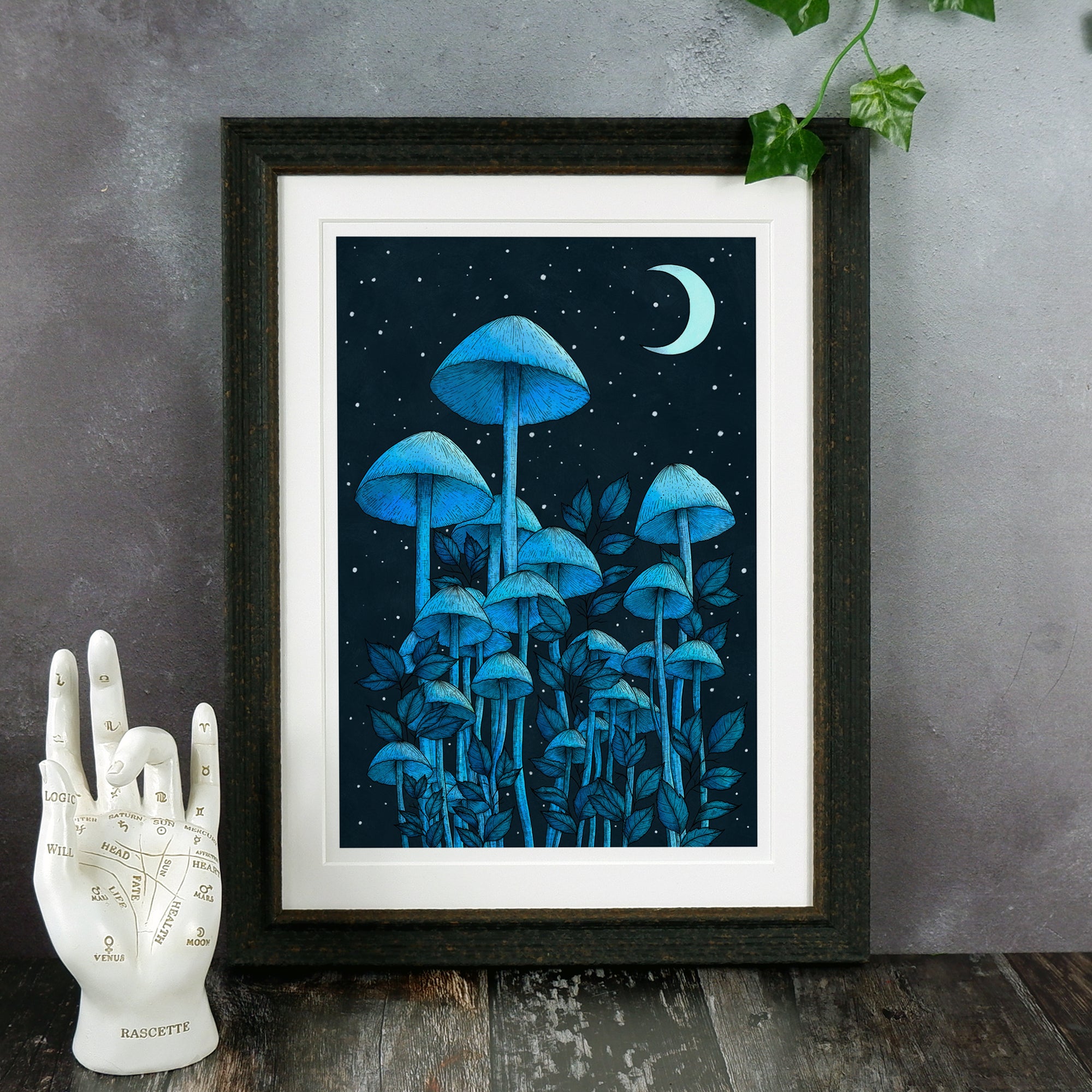 Star Mushrooms - Giclée Art Print