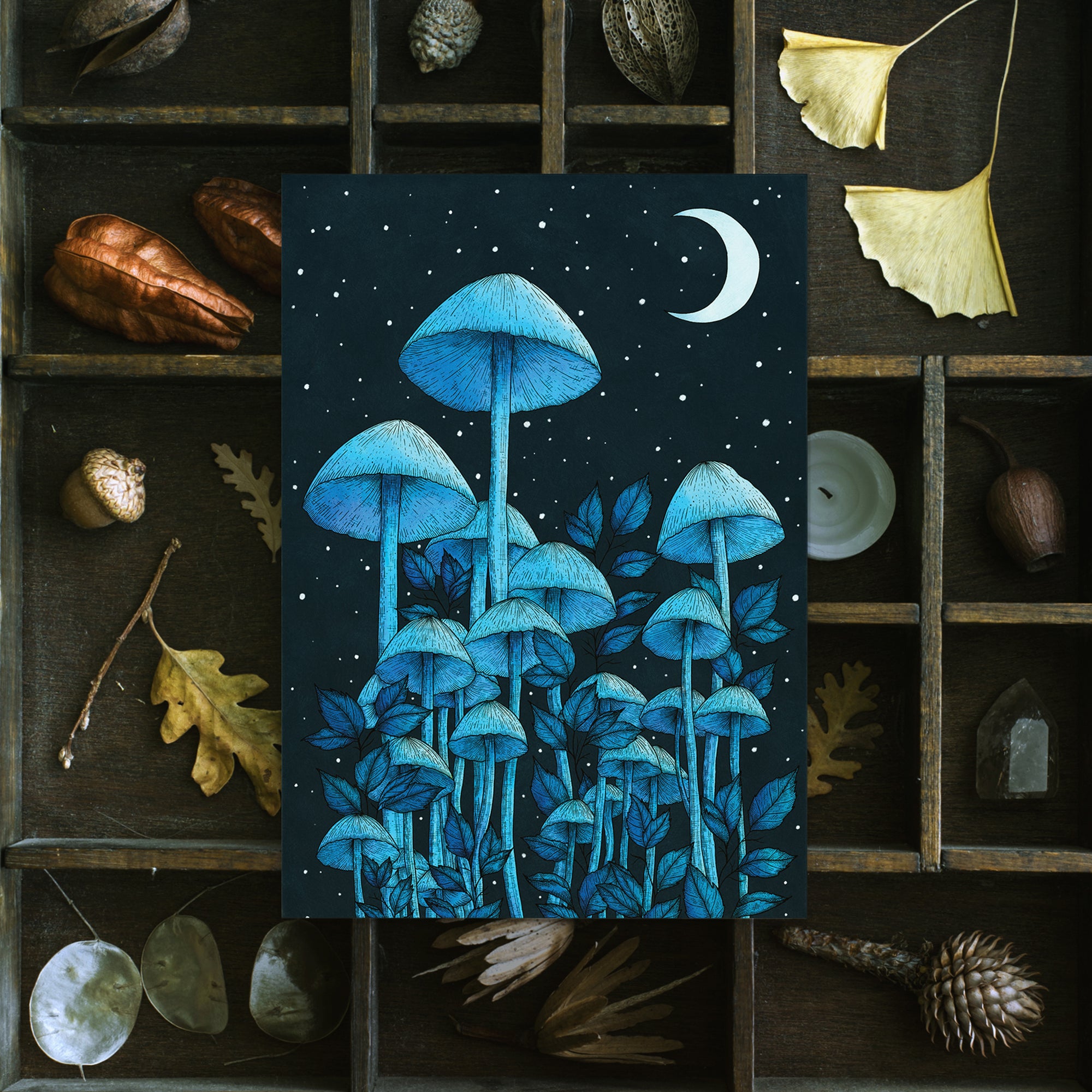 Star Mushrooms - Postcard Mini Print