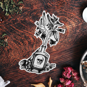 Belladonna - Vinyl Sticker - Print is Dead